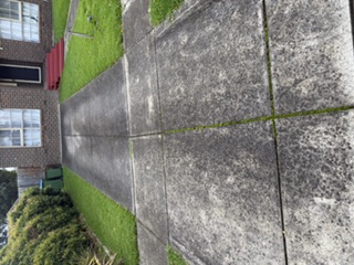Concrete Driveway — before cleaning